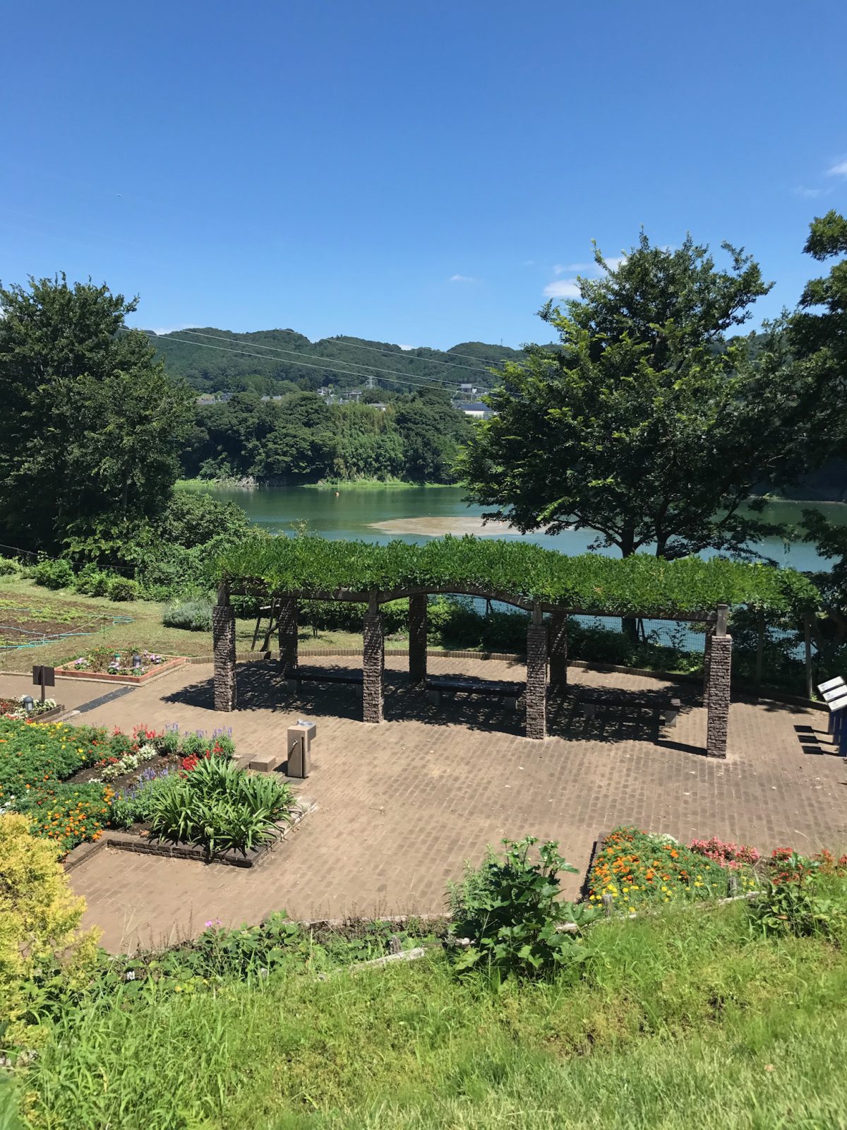 スイカを買いに津久井湖観光センターに