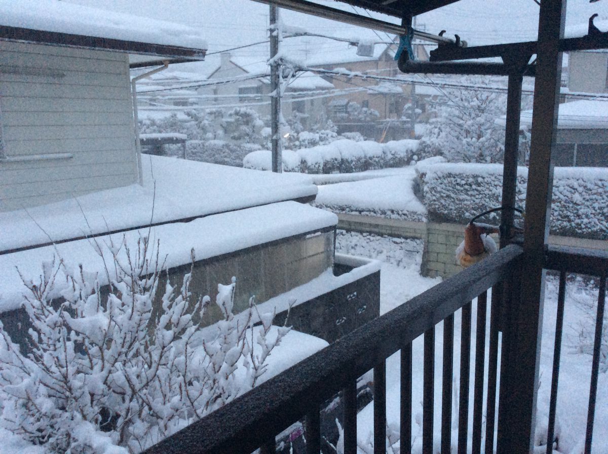 津久井は雪です
