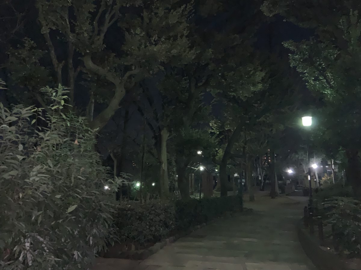 やってみたら、気が済む