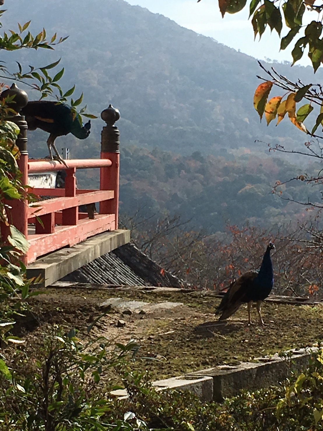 楽しかった茨城