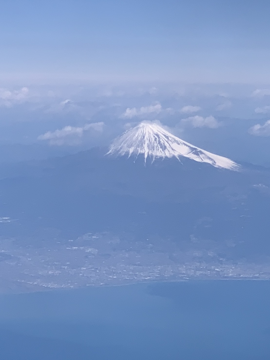 うれしいおしらせ