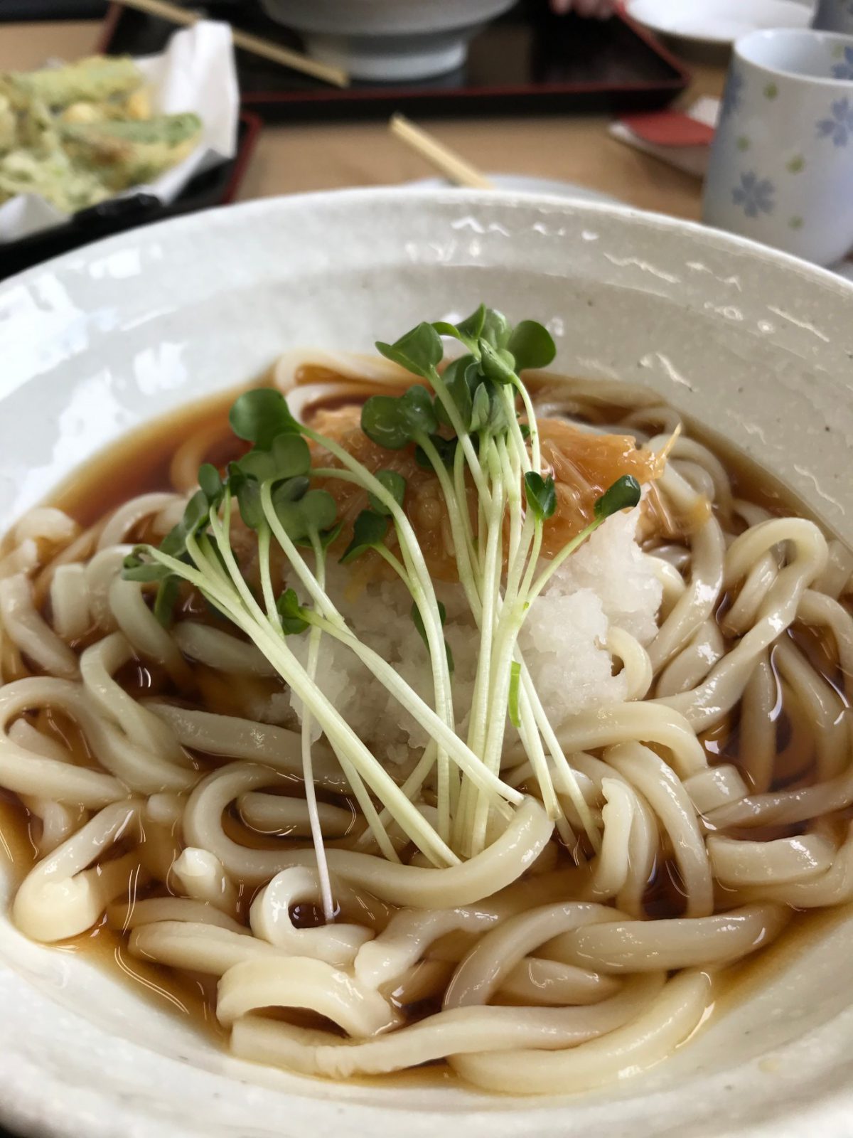 さと山うどん